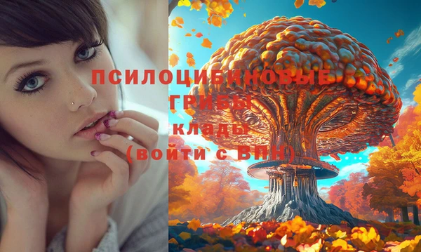 соль курить ск Елизово