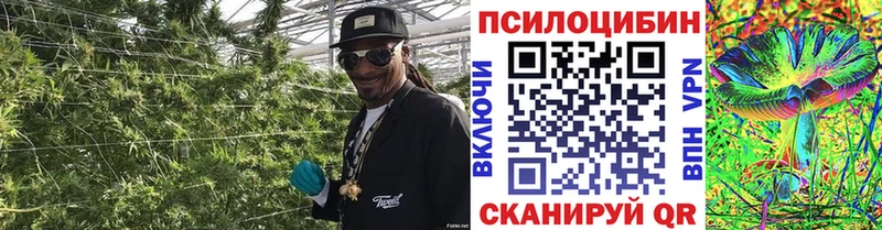 Галлюциногенные грибы прущие грибы Рославль