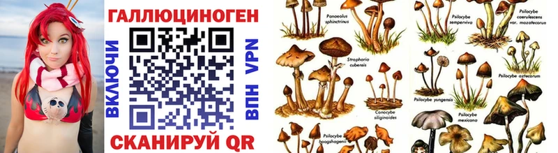 Купить закладки  Рославль  Галлюциногенные грибы Psilocybine cubensis 